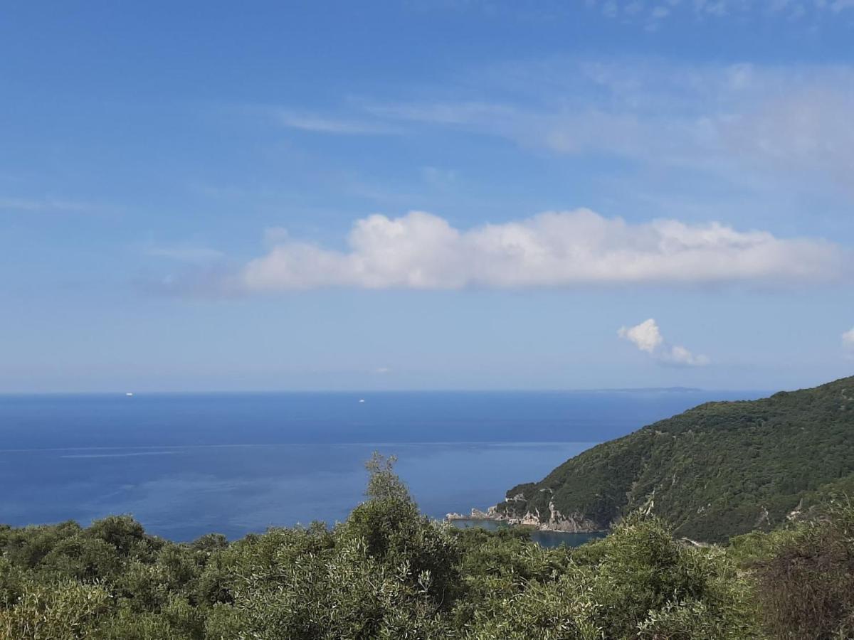 Zoe'S Studios Parga Dış mekan fotoğraf