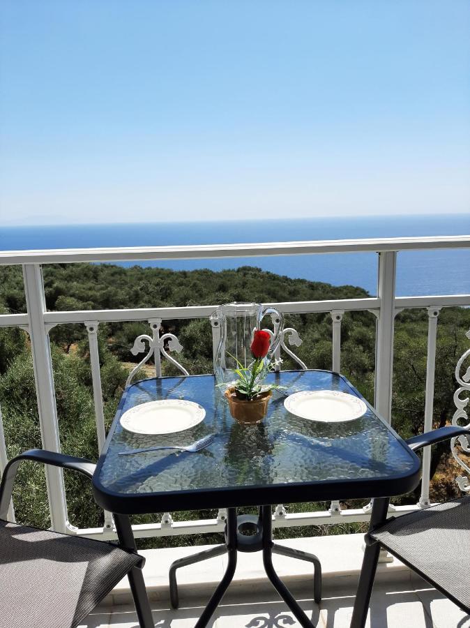 Zoe'S Studios Parga Dış mekan fotoğraf